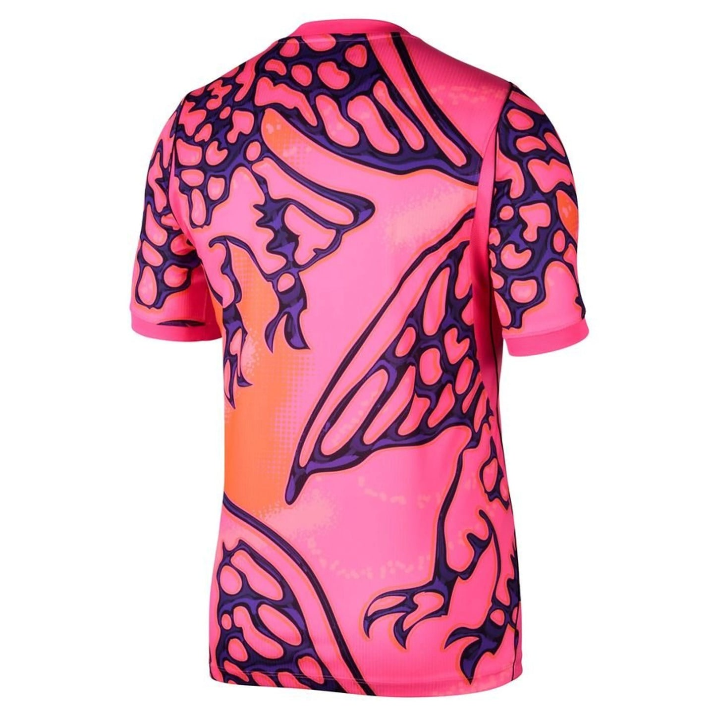 Nigeria Maillot de Gardien 2026/27